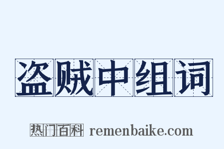 盗贼中组词是什么意思的图片